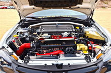 Load image into Gallery viewer, User 1